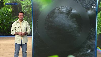 Aquí la Tierra - 13/04/26