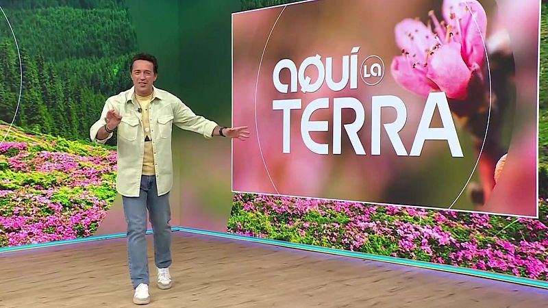 Eclipsi solar, pluges, plantes - Aqu� la Terra - Aqu� la Terra | Veure