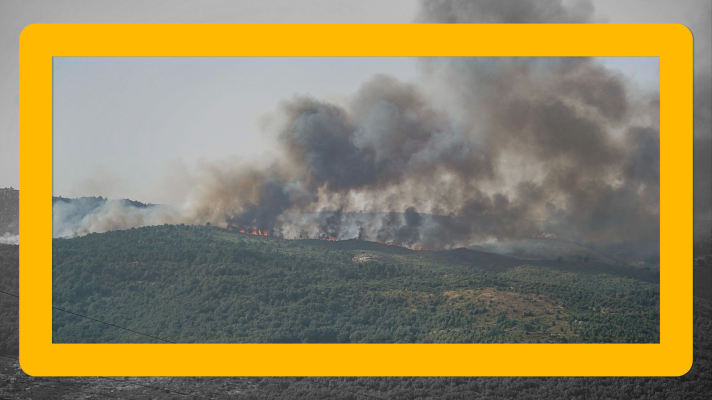 Noticias de Extremadura - Las secuelas del incendio de Jarilla