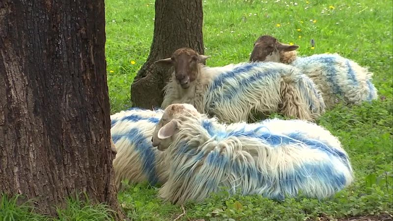 Informativo Telenorte 2 País Vasco - 14/04/2026 | RTVE Play - Ver ahora