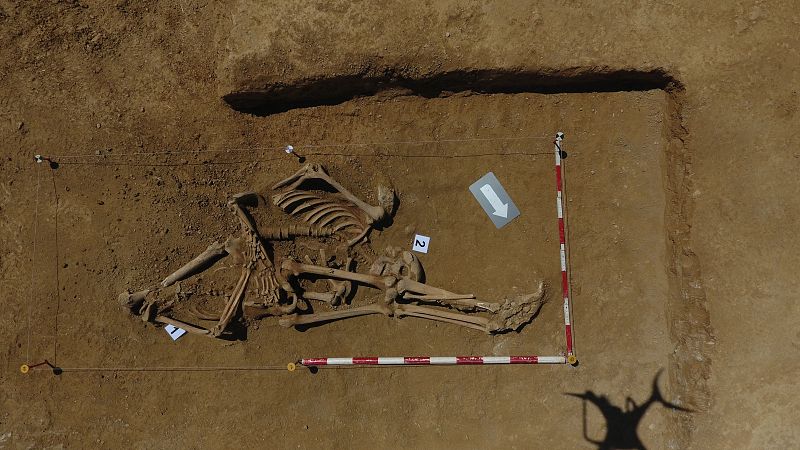 Exhumación de la fosa de Artaiz (Unciti, Navarra) | Ver ahora