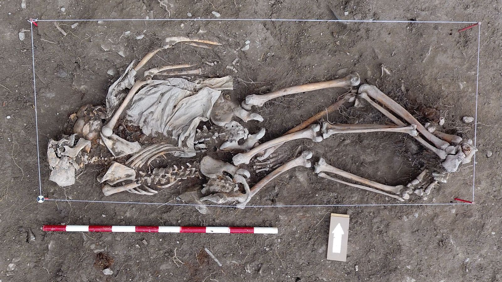 Fosa del Cementerio de Castillonuevo (Navarra) | Ver ahora