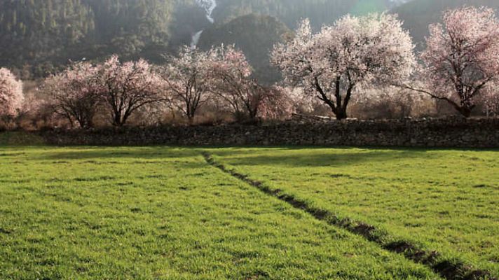 Grandes documentales - La pradera