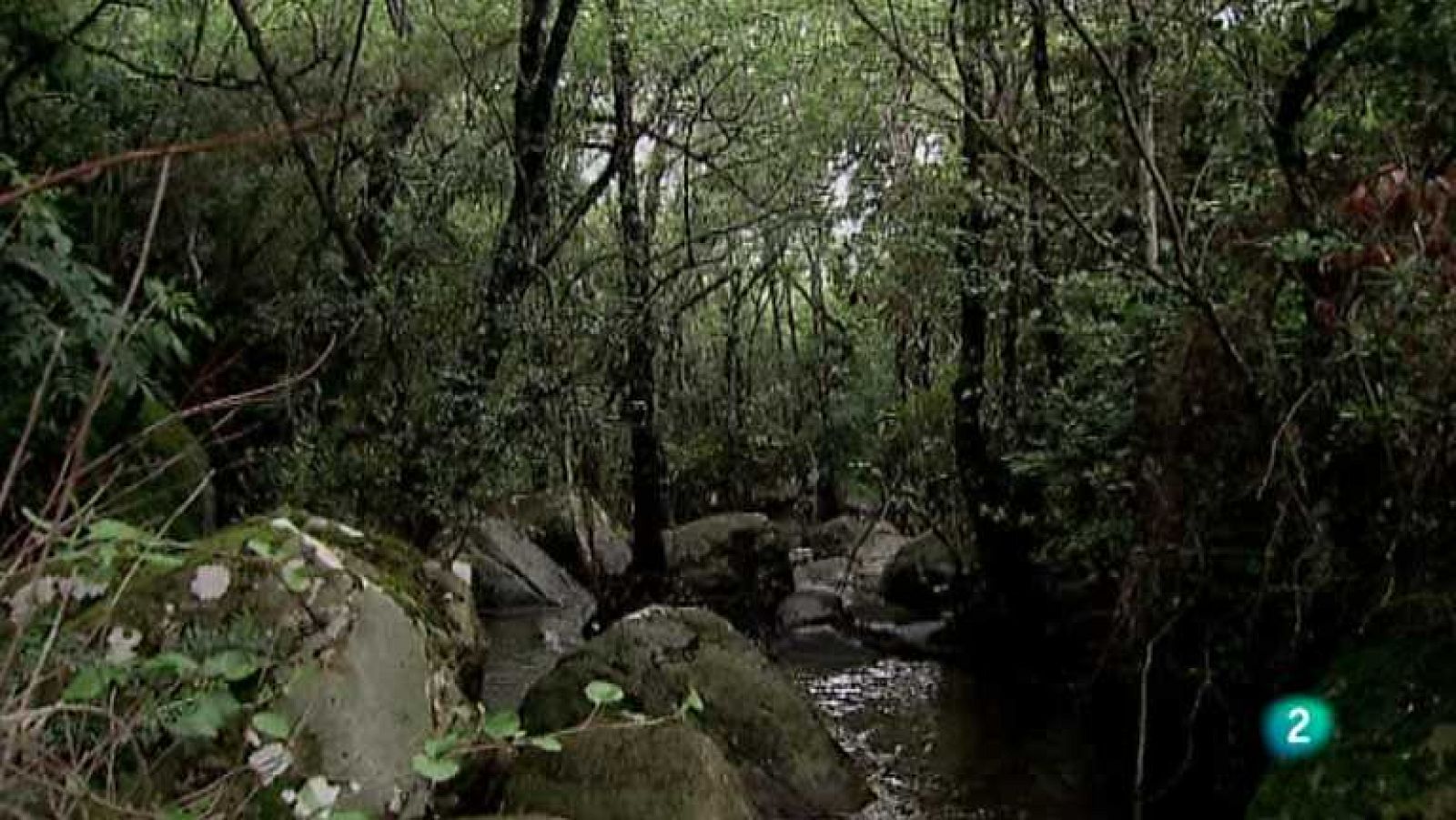 Naturaleza:¿Qué son los canutos?. Futuro: Aullando con lobos.