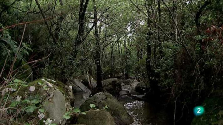 Biodiario - Biodiario - 28/02/13