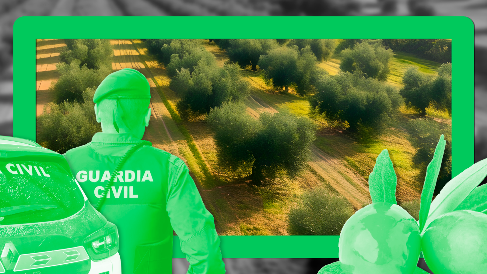 Robos de aceituna 2025 - Noticias de Extremadura | Ver