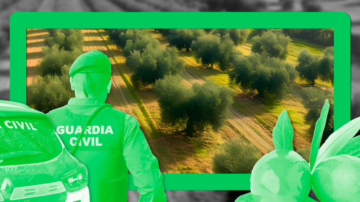 Noticias de Extremadura - Robos de aceituna 2025