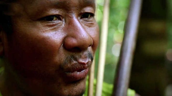 Documenta2 - El código de la Amazonia