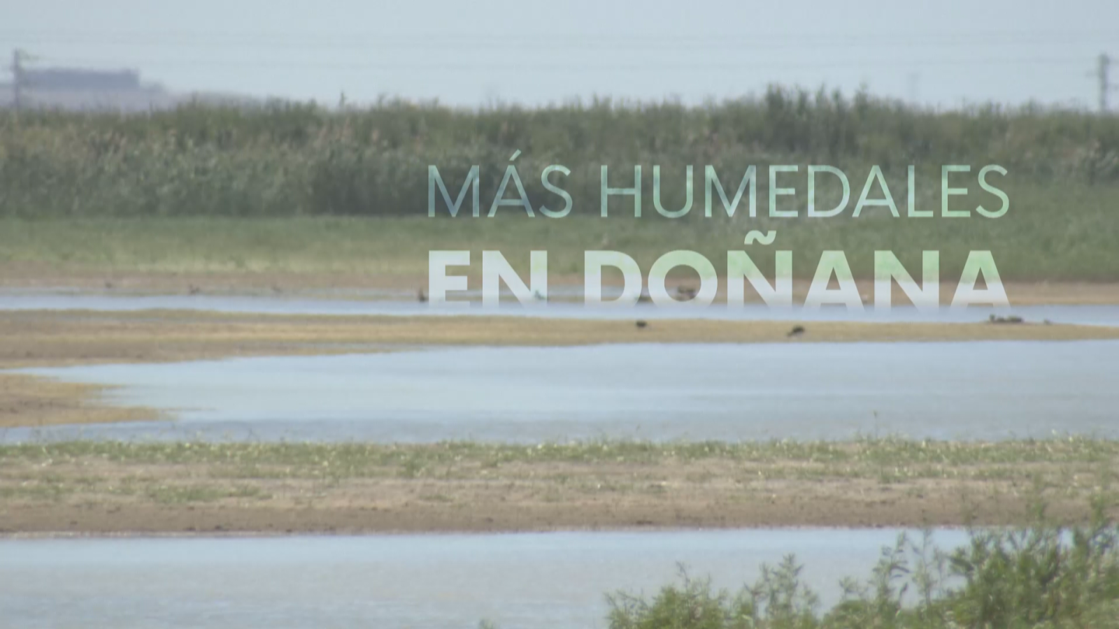 Más humedales - Noticias Andalucía | Ver