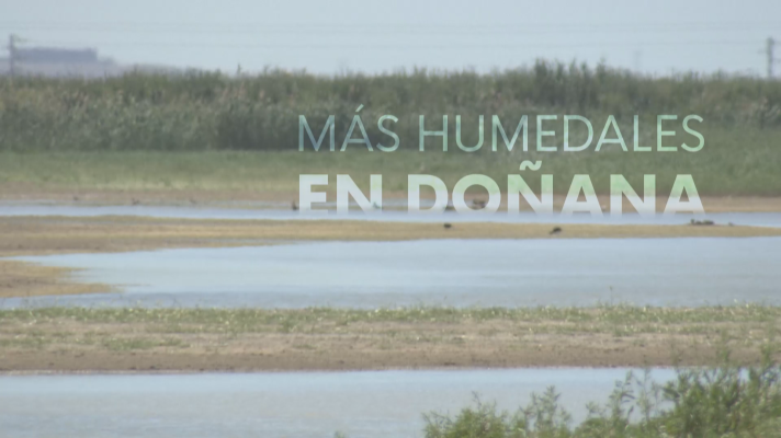 Noticias Andalucía - Más humedales