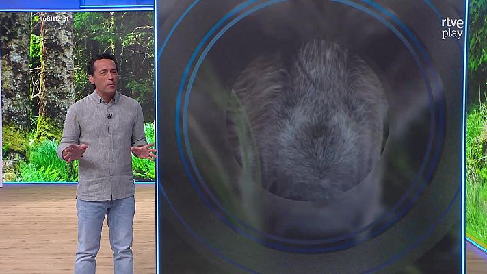 Aquí la Tierra - Aquí la Tierra - 15/04/26