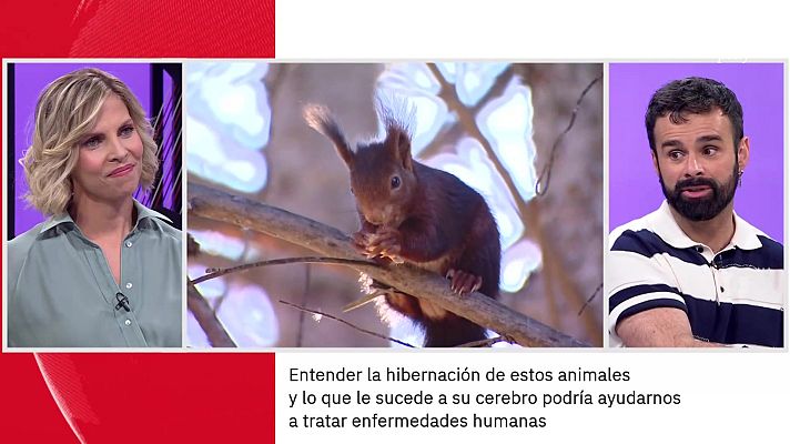La aventura del Saber - Ricardo Moure. El mundo animal y la primavera