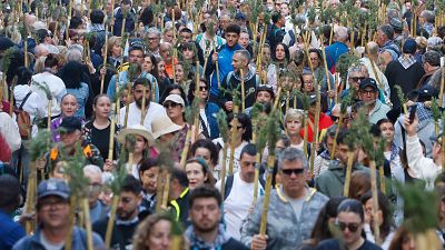 M�s de 330.000 persones han eixit este mat� canya en m� per completar la romeria de la Santa Fa� - L'informatiu - Comunitat Valenciana | Ver