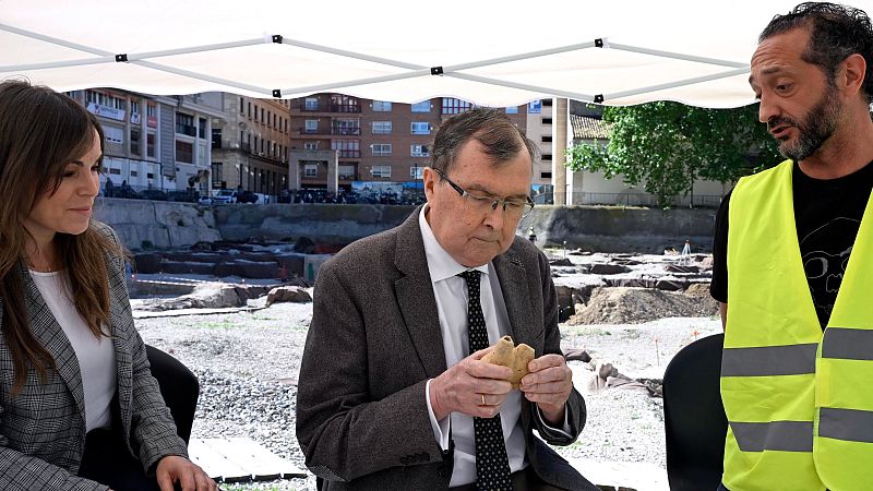 Restos arqueológicos de un dromedario en Murcia - Noticias Murcia | Ver