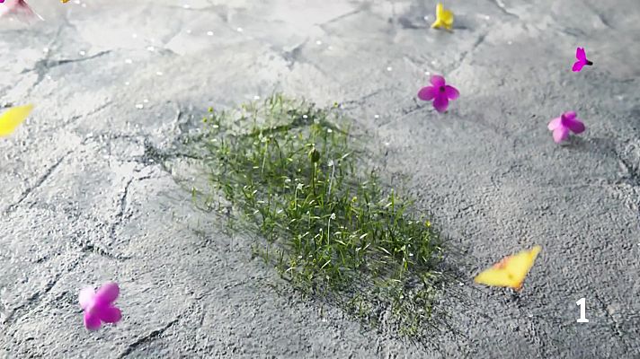 Noticias Murcia - El Tiempo en la Región de Murcia.  16/04/2026