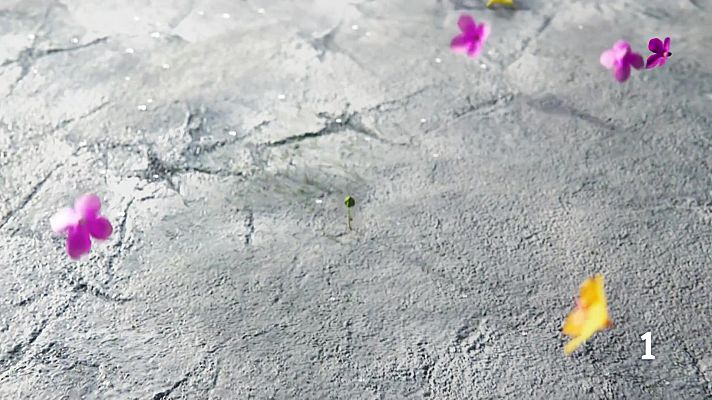 Noticias Murcia - El Tiempo en la Región de Murcia  17/04/2026