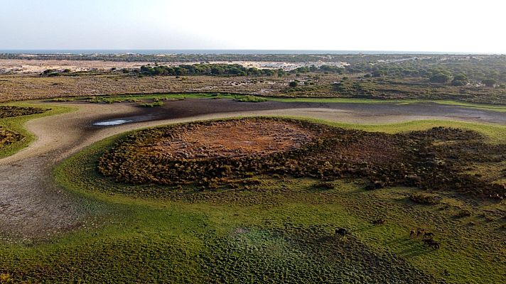 Noticias de Castilla-La Mancha - Las aguas subterráneas, claves en la agricultura del Alto Guadiana