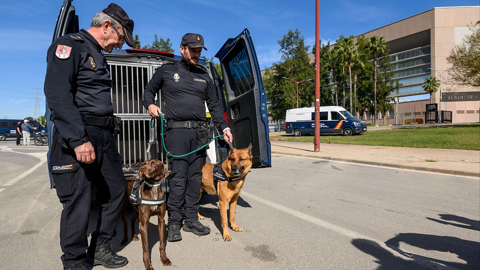 Sevilla se blinda para la final de la Copa del Rey de mañana | Ver