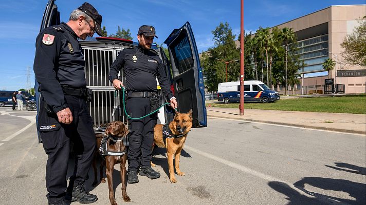  - 2500 efectivos velarán por la seguridad en la final de la Copa del Rey