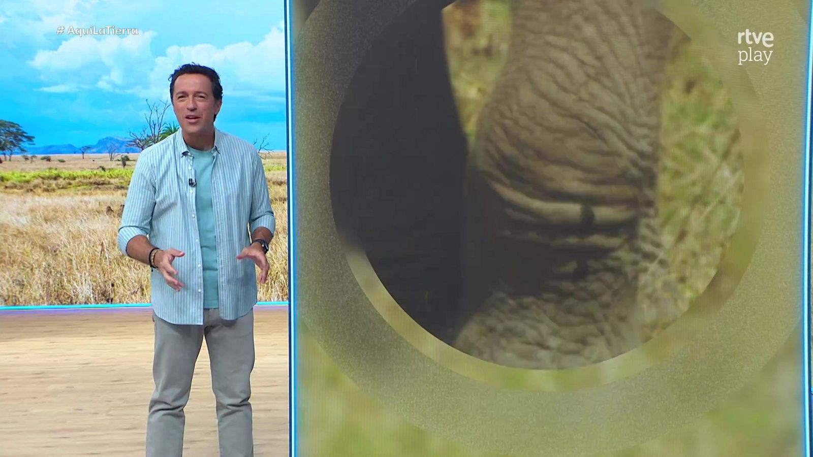 Aquí la Tierra - 17/04/26 - Aquí la Tierra | Ver