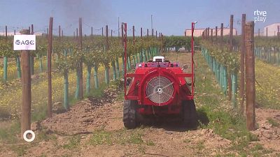 Agrosfera - 18/04/26