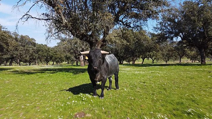 Tendido cero - Tendido Cero - 18/04/26