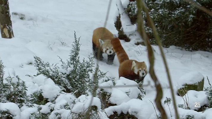 Som Documentals - Bandits emmascarats