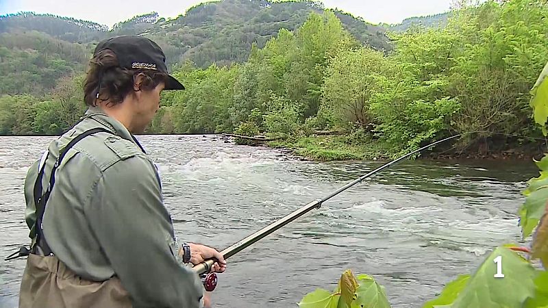 Asturias en 2' - 20/04/26 | Ver