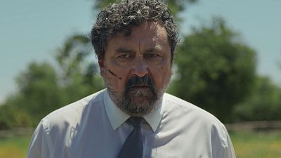 Ensayo sobre la estupidez