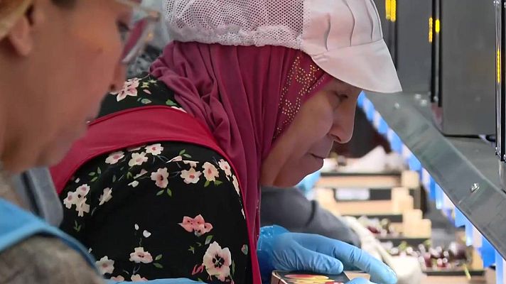  - Comienza el plazo presencial para la regularización extraordinaria de migrantes