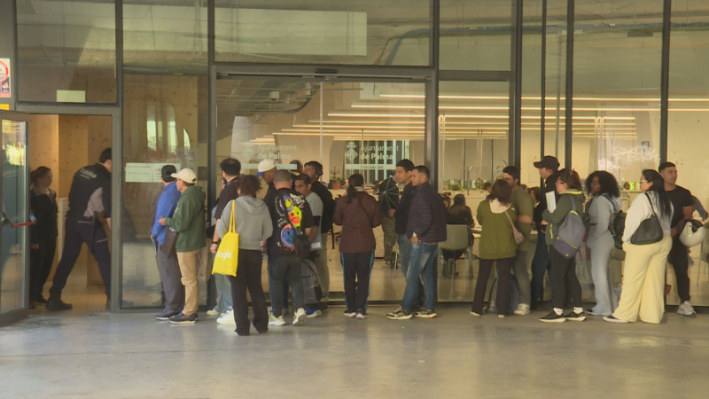 Comença la regularització d'immigrants