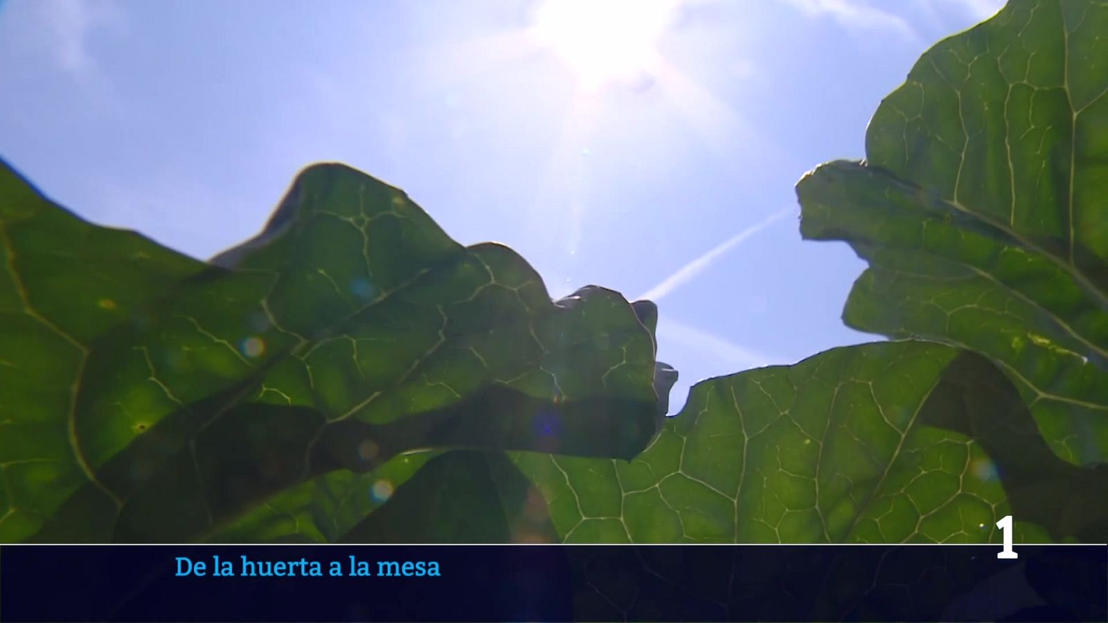 Informativo Telerioja 2 - 20/04/26 | Ver