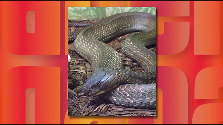 Saber y ganar - Saber y ganar - 20/04/26