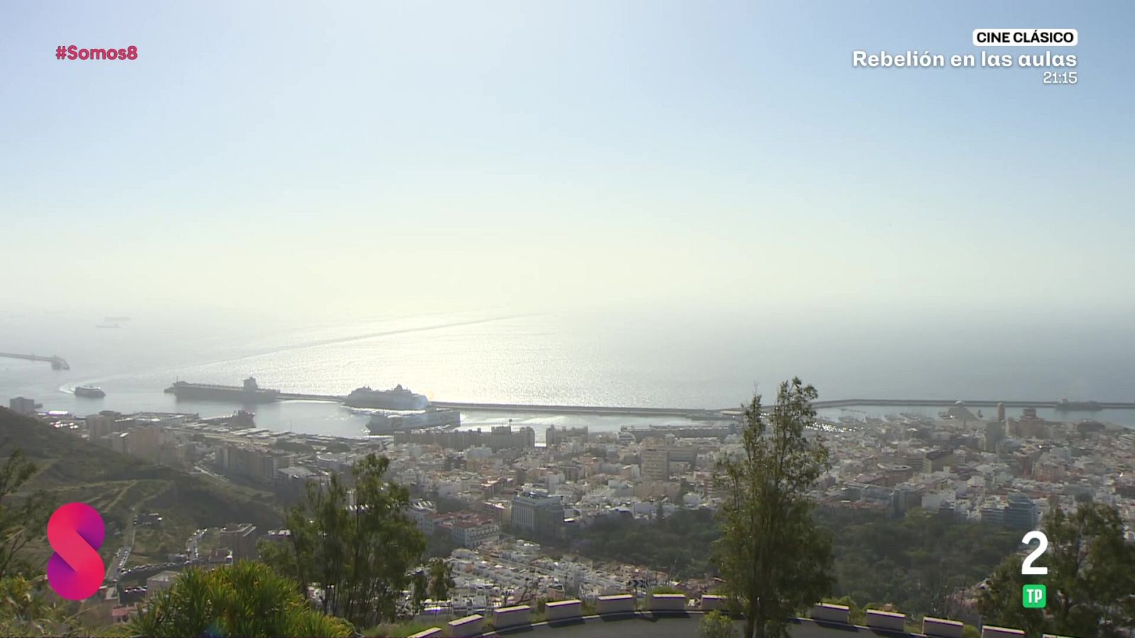 Somos 8 - 20/04/2026 - Somos 8 | Ver