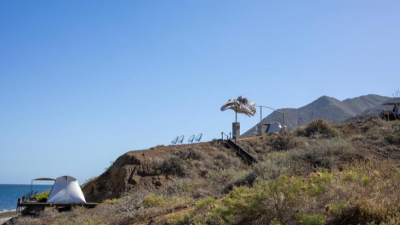 Fauna letal en México