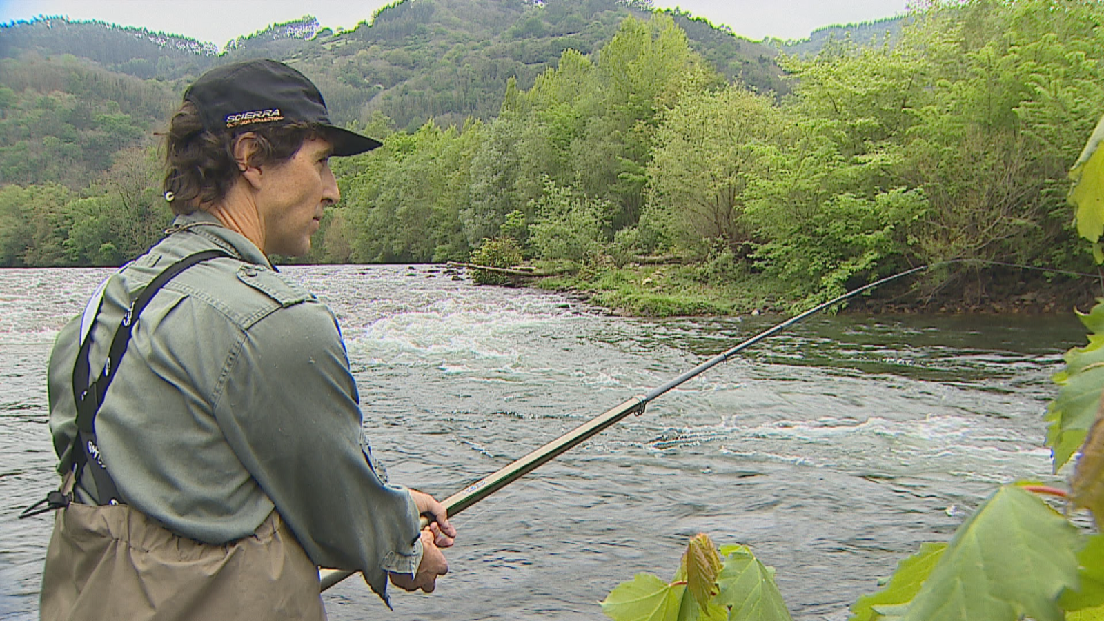 Apenas hay salmones en los ríos asturianos - Panorama Regional | Ver