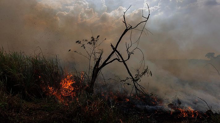  - Comienzan las quemas prescritas para prevenir incendios en Toledo y Ciudad Real