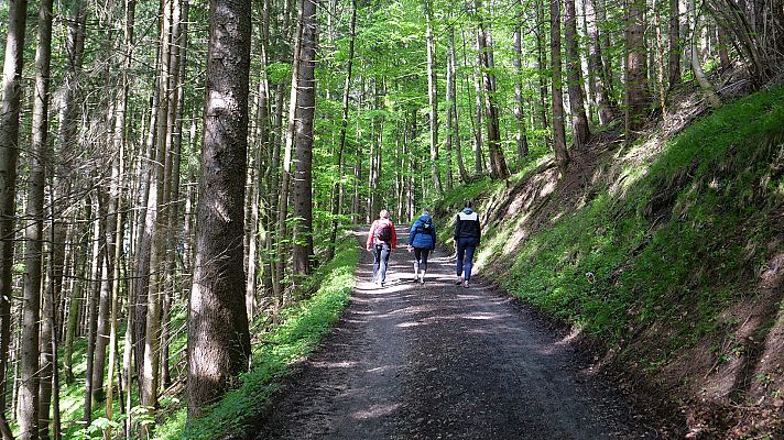 La noche temática - Caminar, una cura milagrosa para cuerpo y alma - Ver ahora