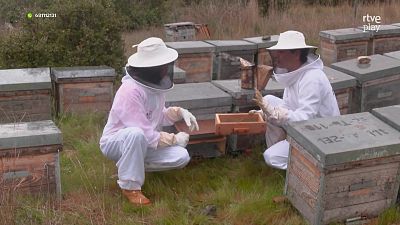 Aquí la Tierra - 21/04/26