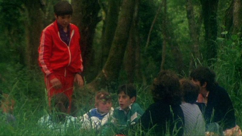 El bosque sagrado - Cuanto se nombra existe - El bosque sagrado | Ver