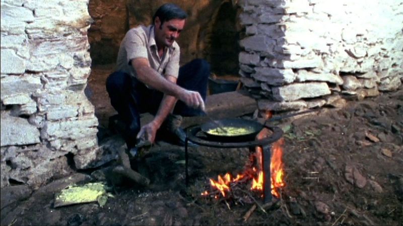 El bosque sagrado - Carne quebrada, miembro torto - El bosque sagrado | Ver
