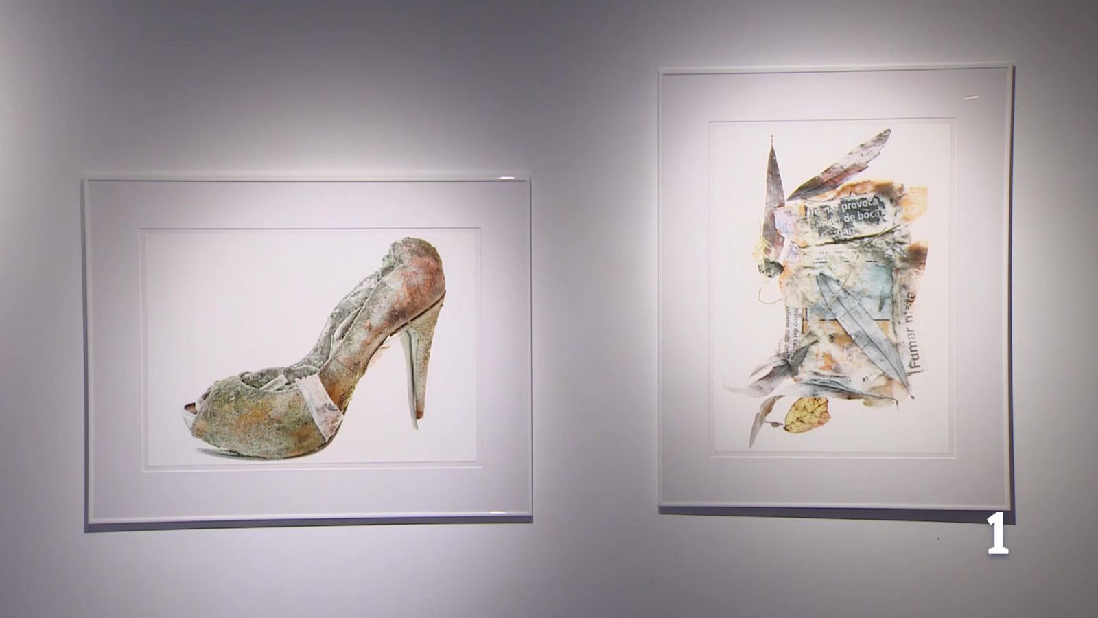 Informativo Telerioja -22/04/26 | Ver