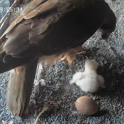 Telenorte - País Vasco - Telenorte 1 - 22/04/2024