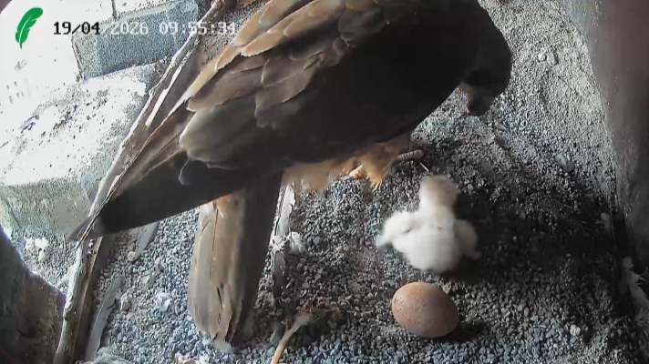 Telenorte - País Vasco - Telenorte 1 - 22/04/2024