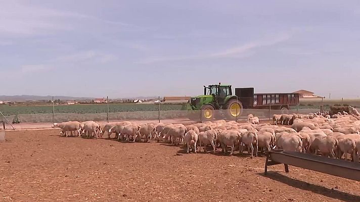 Noticias Murcia - Casi un millón de euros de sobrecostes sufre el campo por la guerra