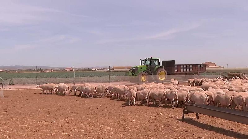 Casi un millón de euros de sobrecostes sufre el campo por la guerra - Noticias Murcia | Ver