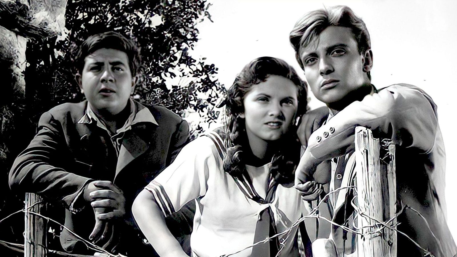 Novio a la vista | Ver películas gratis en RTVE Play | Ver ahora