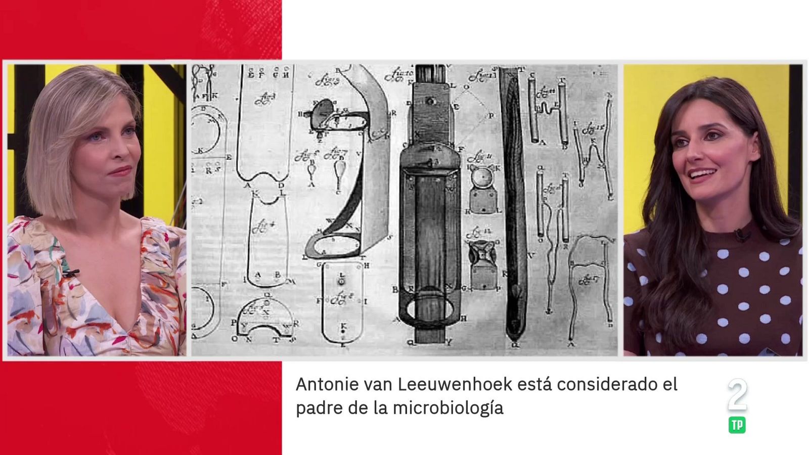 Carmen Guillén. Antonie van Leeuwenhoek, padre de la microbiología - La aventura del Saber | Ver