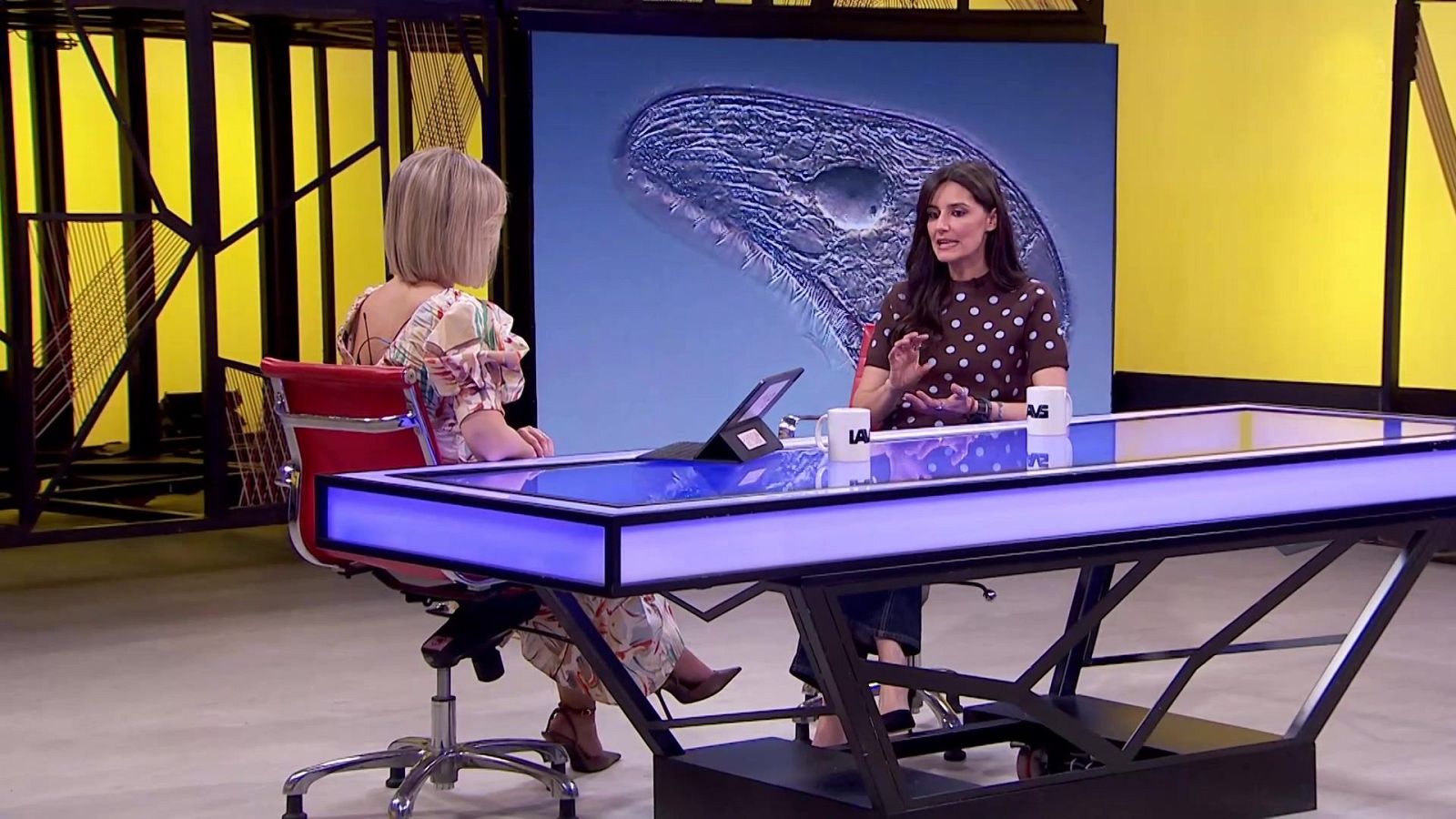 La aventura del saber - 23/04/26 - La aventura del Saber | Ver