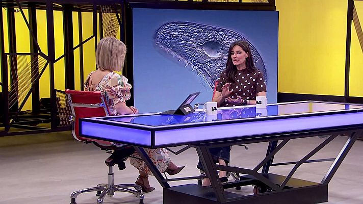 La aventura del Saber - La aventura del saber - 23/04/26